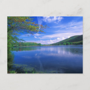 Oktober Staat Forest Berkshires Postkarte