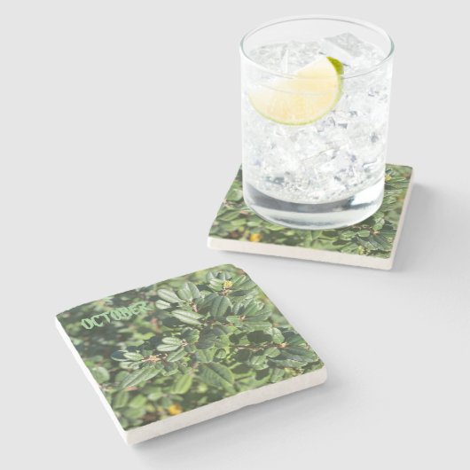 OKTOBER STEINUNTERSETZER (Seitenansicht)