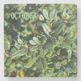 OKTOBER STEINUNTERSETZER