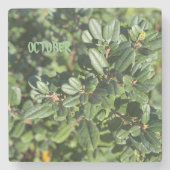 OKTOBER STEINUNTERSETZER (Vorderseite)