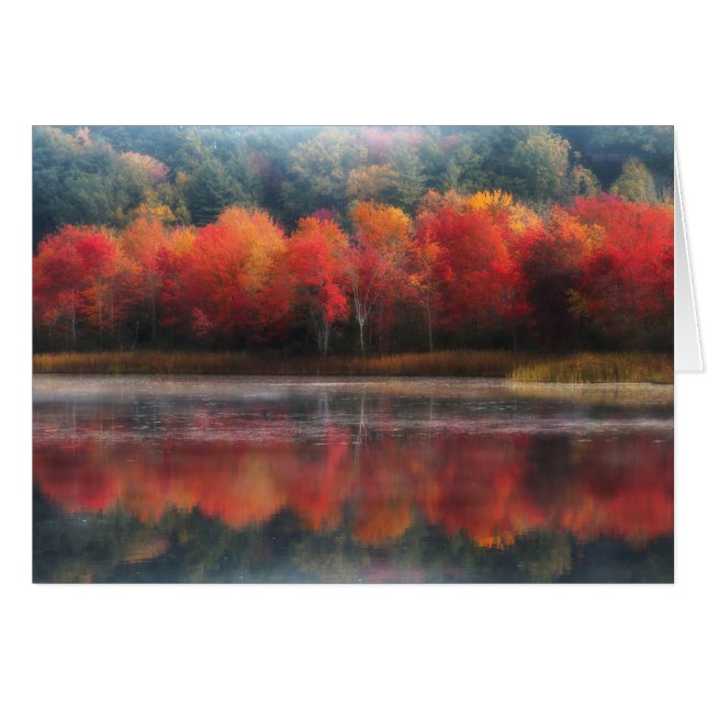 Oktober Trees (Vorderseite (Horizontal))