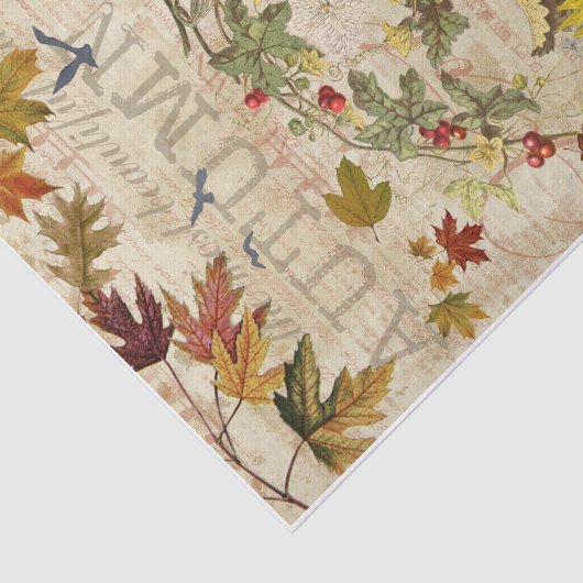 Oktober Vibes Seidenpapier (Ausschnitt)