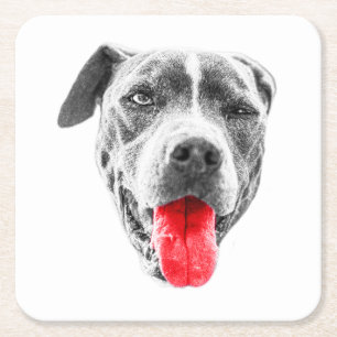 Oktoberbiss Rechteckiger Pappuntersetzer