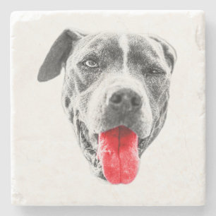 Oktoberbiss Steinuntersetzer