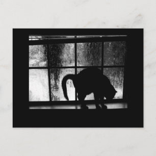Oktoberduschen Katzenschuhe Silhouette am Fenster Postkarte