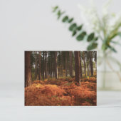 Oktoberlicht Postkarte (Stehend Vorderseite)