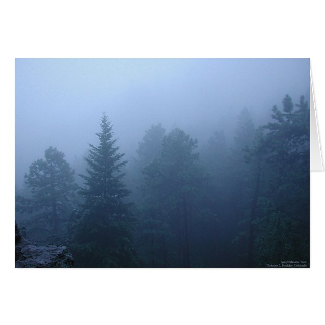 Oktoberwald (Vorderseite (Horizontal))