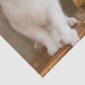 Oktokkatzenpapier Seidenpapier (Detail)