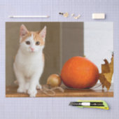 Oktokkatzenpapier Seidenpapier (Handwerk)