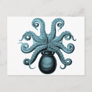 Oktopus Aquamarin Postkarte