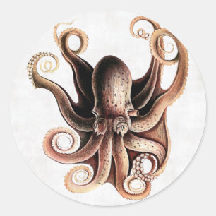 Oktopus-Aufkleber Runder Aufkleber