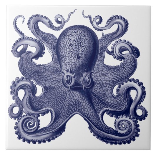 Oktopus Blau & Weiß Fliese (Vorderseite)
