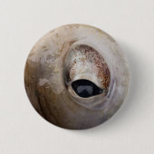 Oktopus Button (Vorderseite)