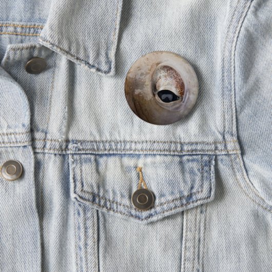 Oktopus Button (Beispiel)