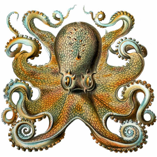 Oktopus-Cutout-Magnet/Skulptur Fotoskulptur Magnet (Vorne)