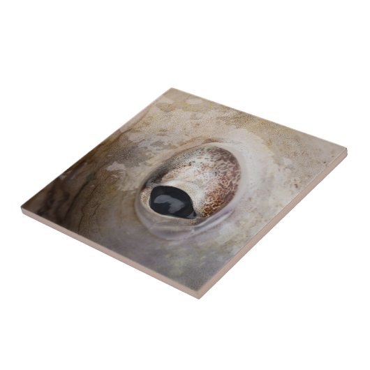 Oktopus Fliese (Seite)