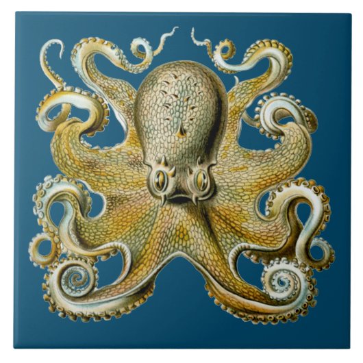 Oktopus Fliese (Vorderseite)