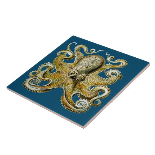 Oktopus Fliese (Seite)