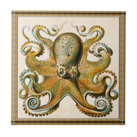 Oktopus Fliese (Vorderseite)