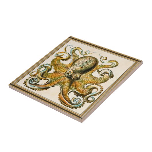 Oktopus Fliese (Seite)