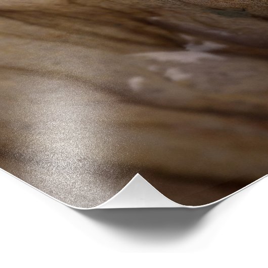 Oktopus Fotodruck (Ecke)