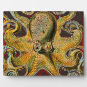 Oktopus Fotoplatte (Vorderseite)