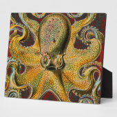 Oktopus Fotoplatte (Seite)