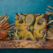 Oktopus Fotoplatte (Seite)