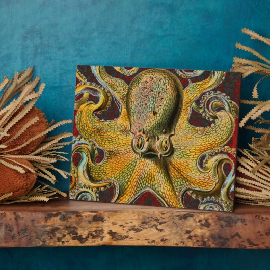 Oktopus Fotoplatte (Seite)