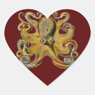 Oktopus Herz-Aufkleber