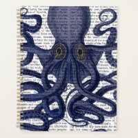 Oktopus hoch Nah