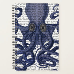 Oktopus hoch Nah Planer