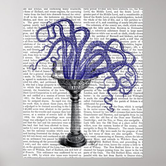 Oktopus in Sink Poster (Vorne)