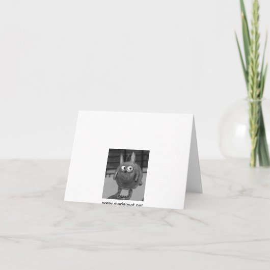 Oktopus Karte (Rückseite)