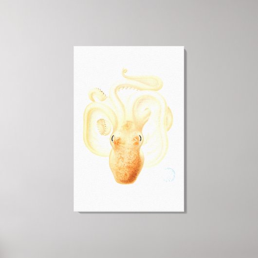 Oktopus Leinwanddruck (Vorderseite)