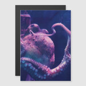 Oktopus Magnetkarte (Vorne/Hinten)