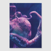Oktopus Magnetkarte (Vorderseite)