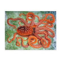 Oktopus Ozean Vintage