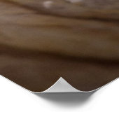 Oktopus Poster (Ecke)