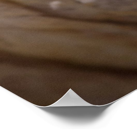 Oktopus Poster (Ecke)