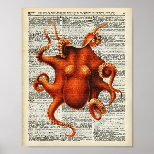 Oktopus Poster (Vorne)
