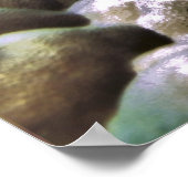 Oktopus Poster (Ecke)