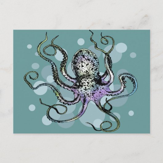 Oktopus Postkarte (Vorderseite)