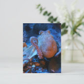Oktopus Postkarte (Stehend Vorderseite)