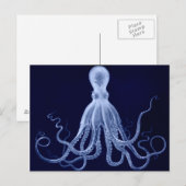 Oktopus Postkarte (Vorne/Hinten)