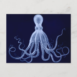 Oktopus Postkarte