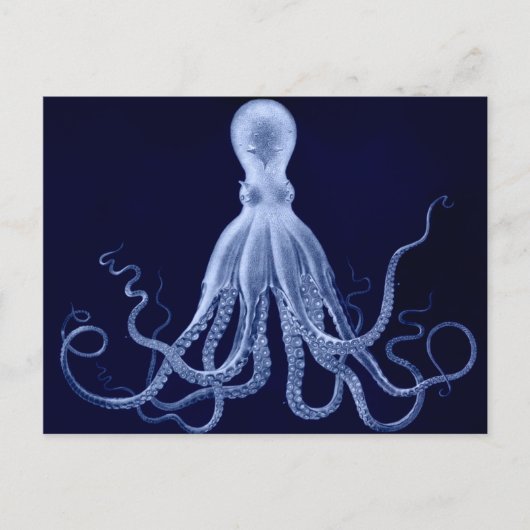 Oktopus Postkarte (Vorderseite)
