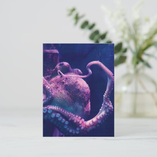 Oktopus Postkarte (Stehend Vorderseite)