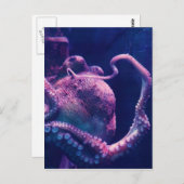 Oktopus Postkarte (Vorne/Hinten)