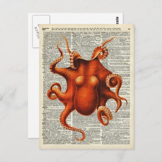 Oktopus Postkarte (Vorne/Hinten)